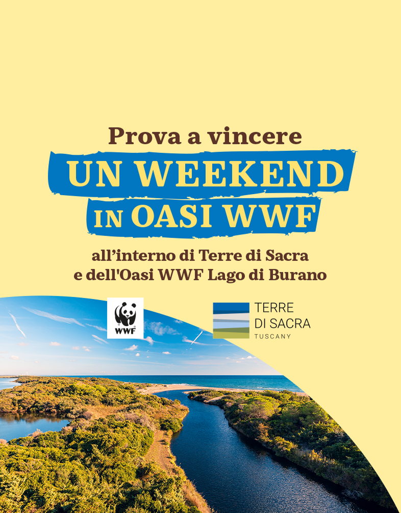Vinci ogni giorno un weekend nell'oasi WWF del Lago di Burano